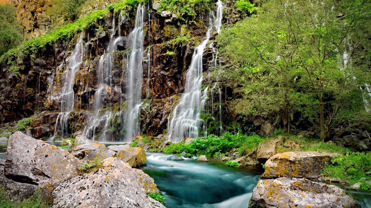 Dramatic canyon viewpoints with lush vegetation below