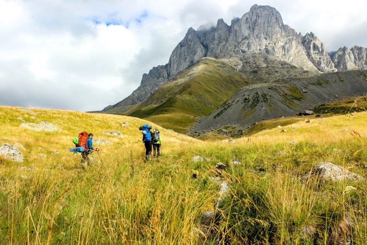 Alpine meadows covered in wildflowers near Chaukhi Pass