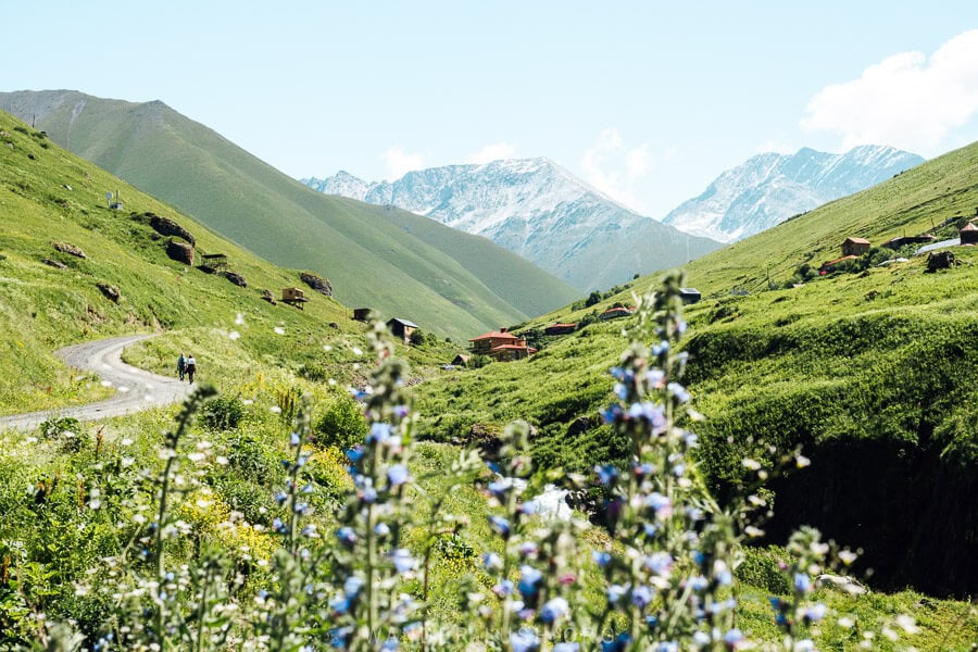 Mountain stream flowing through the alpine meadows near Juta