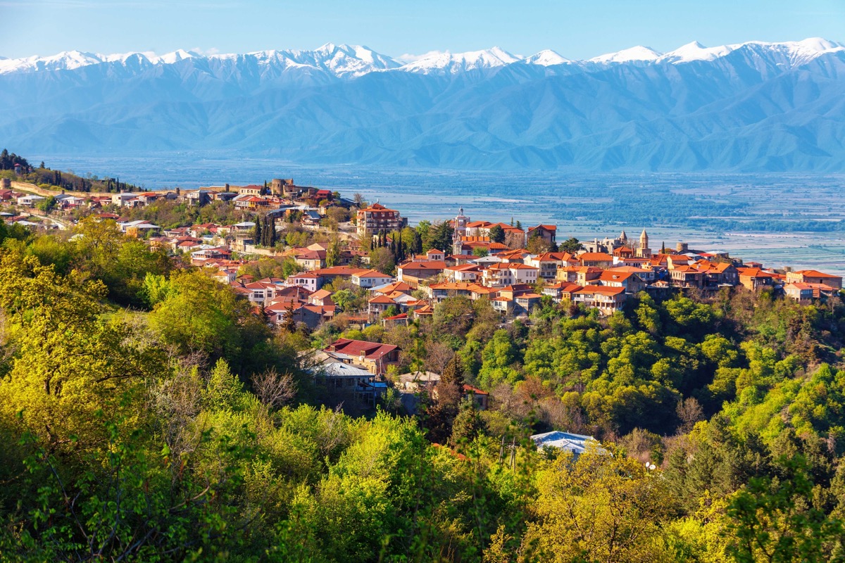 Kakheti wine region vineyards with Caucasus mountain backdrop