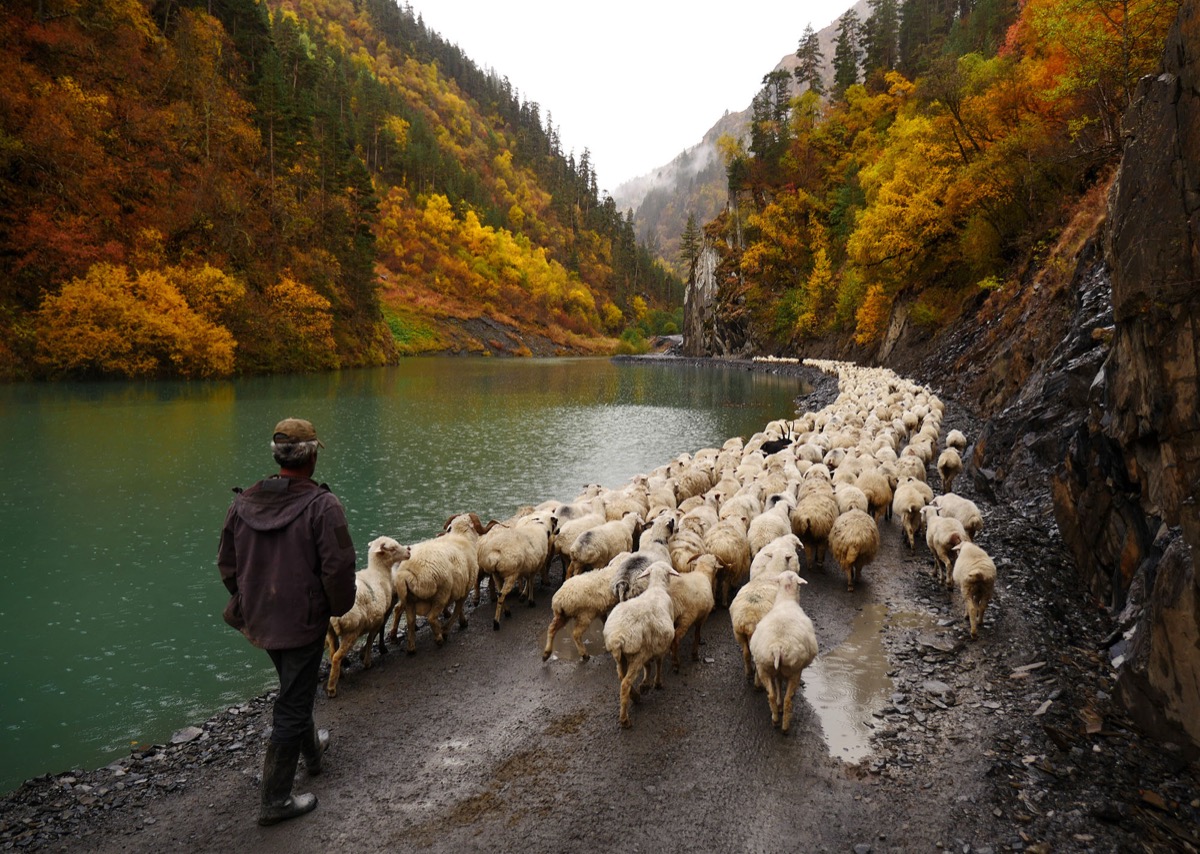 Remote valley landscape in Tusheti National Park